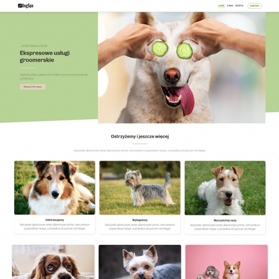 dogspa_zielony_01