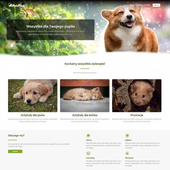 petplus_01