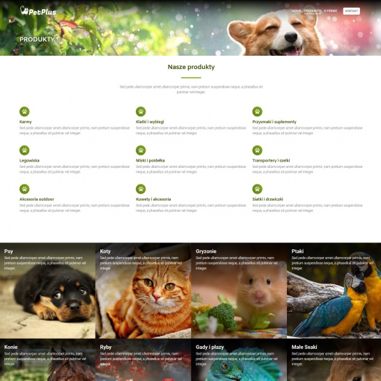 petplus_03