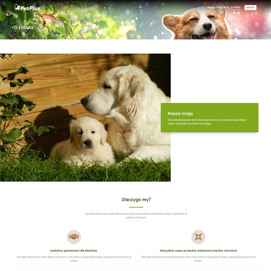 petplus_04