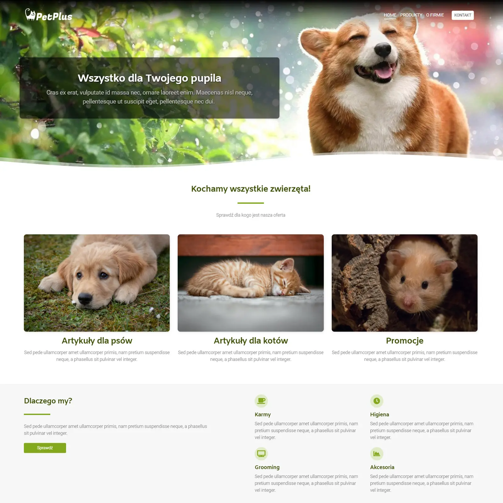 Petplus